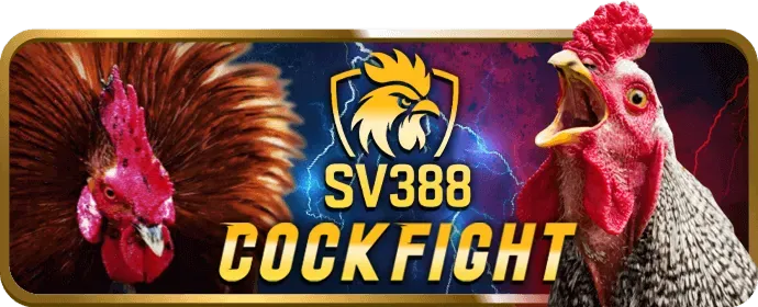 Biểu tượng cài đặt trình duyệt, minh họa việc người dùng quản lý cookie và quyền riêng tư của họ trên KV888 Khuyến Mãi.